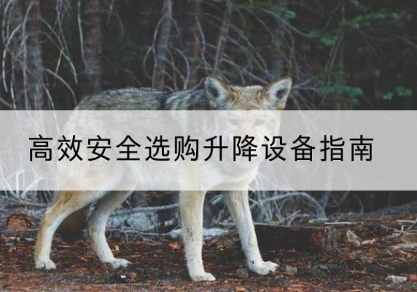 沁水升降货梯厂家推荐-*安全选购升降设备指南