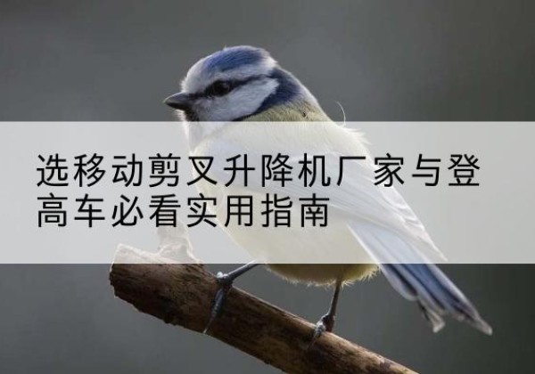沁水电动升降机厂家-选移动剪叉升降机厂家与登高车必看实用指南
